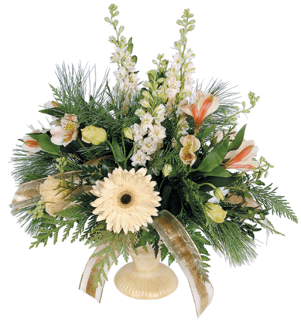 Alpha Murail Taxi Vern Sur Seiche Services Funeraires